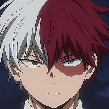 Profile image of Todoroki