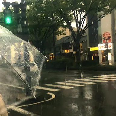 Profile image of 서백화