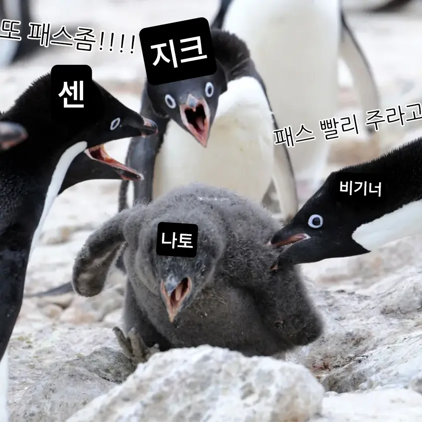 PastScoop2500의 나토