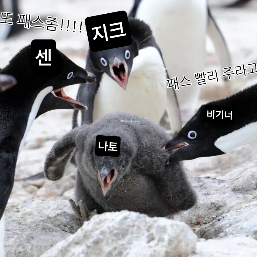 나또