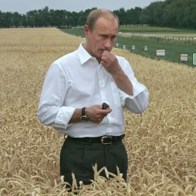 Profile image of Vladimir Putin