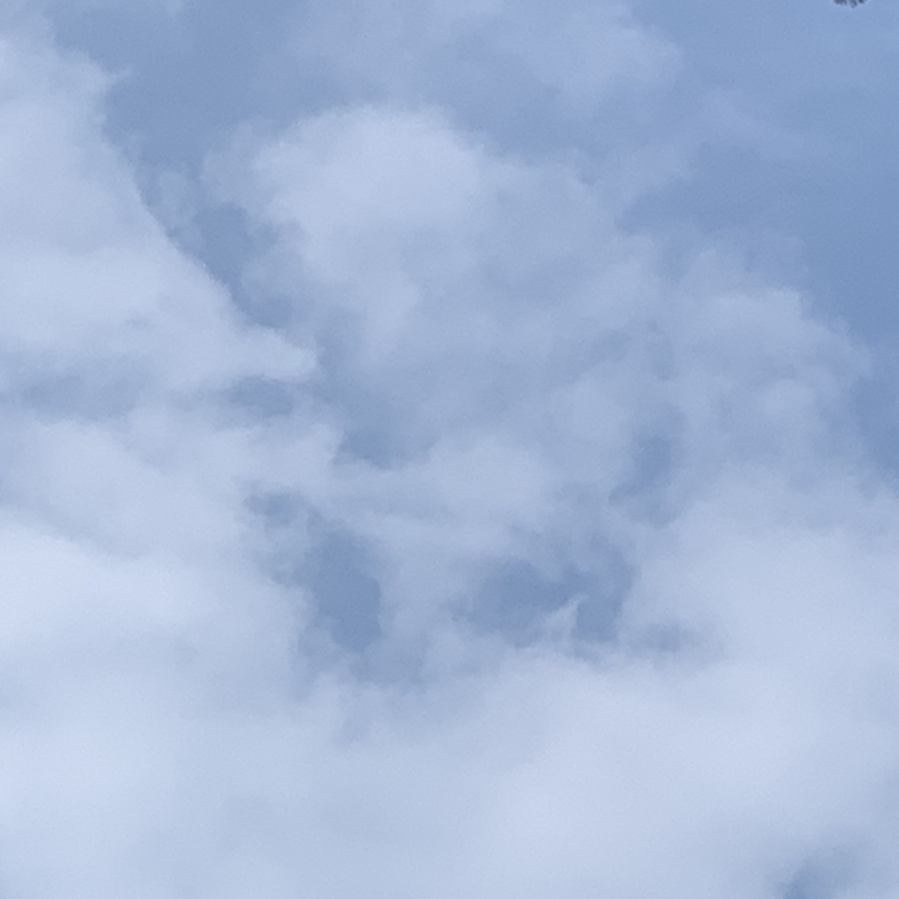 내 친구 보스,나도 보스 대표 이미지