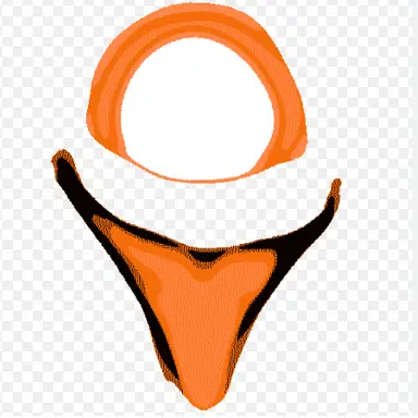 Profile image of E-22