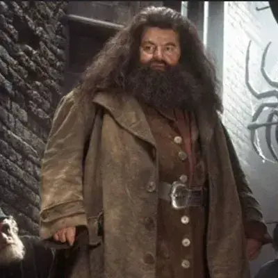 RaggedEmber1152의 Hagrid