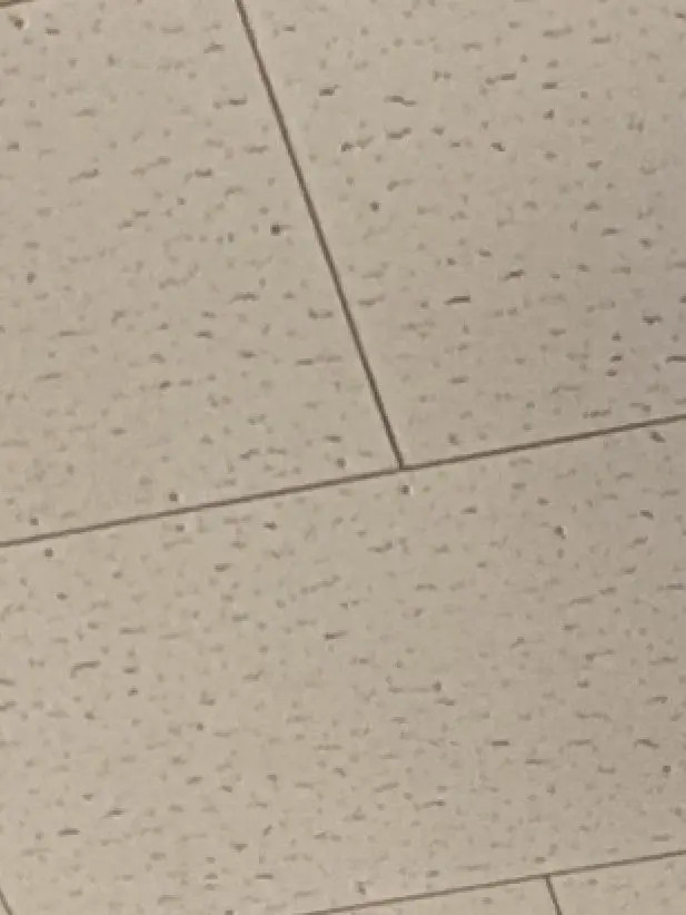 Kurosann의 くねくね気味が悪いな…。　ユーザー年上版