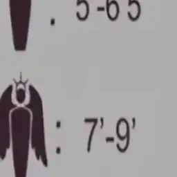 Profile image of Archangel
