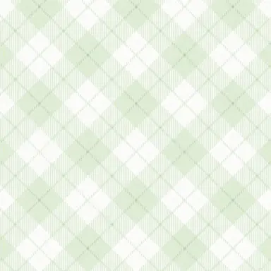Profile image of Shintaro Morimoto