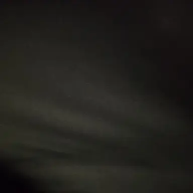 Profile image of 홍지수