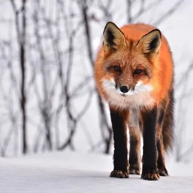 Profile image of 주르르