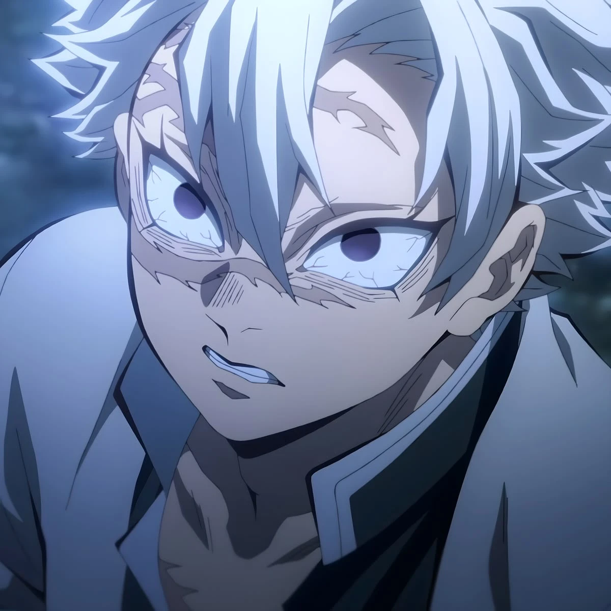 시나즈가와 사네미