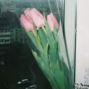 fiig의 愛情