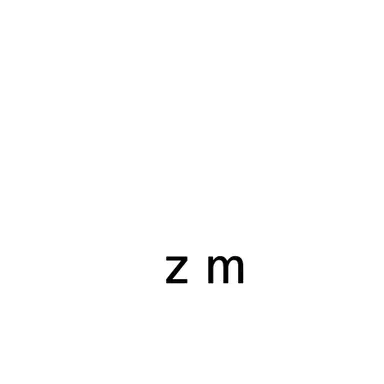 Profile image of zm