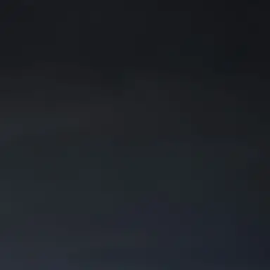 Profile image of 연시은