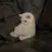 어색 고양이