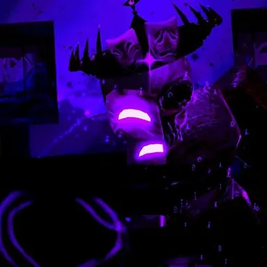 Profile image of noli