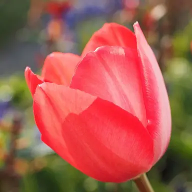 Profile image of 민다현