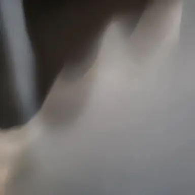 Profile image of 카시온