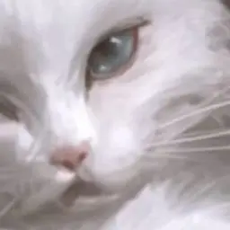 Profile image of 블랑