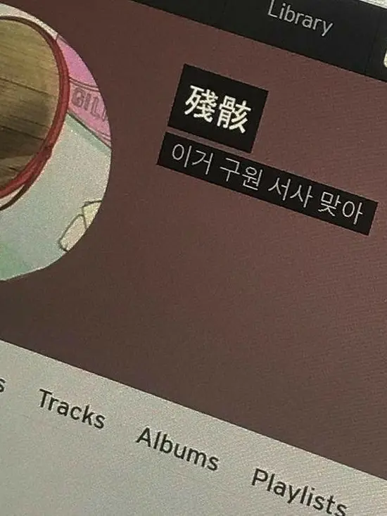 DuskyRiver7310의 共犯