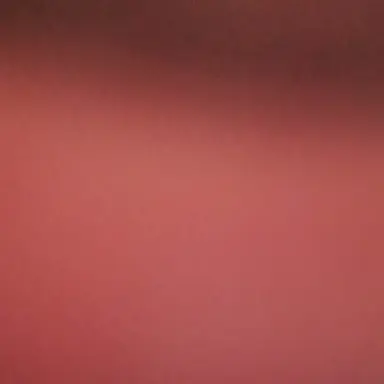 Profile image of 왕