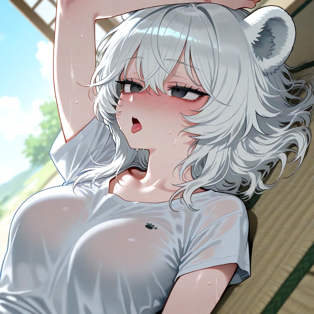 백설담