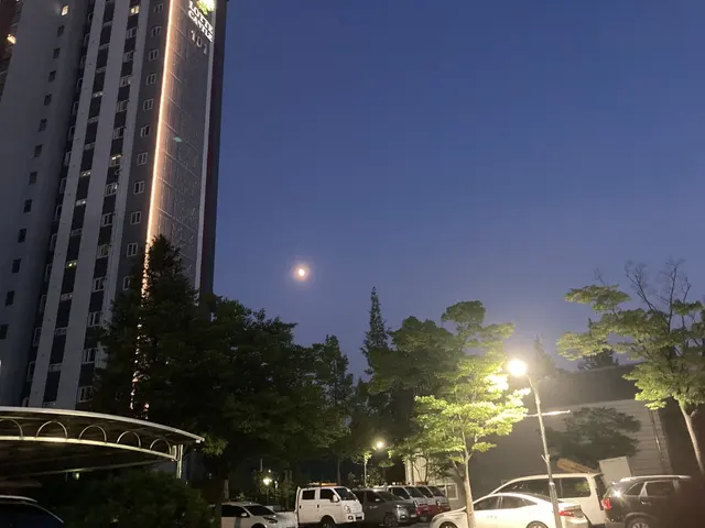 Profile image of 벅스닌