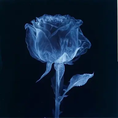 Profile image of 박영환