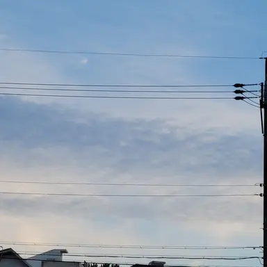 Profile image of 뜰팁