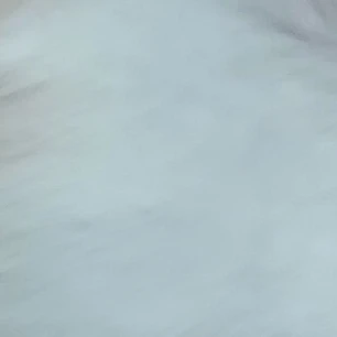 선생님