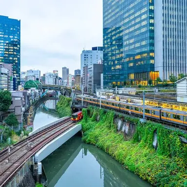 Profile image of 齋藤みれい