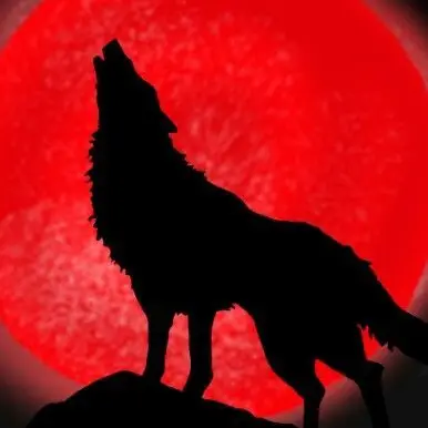 Bakugochan의 늑대와 양