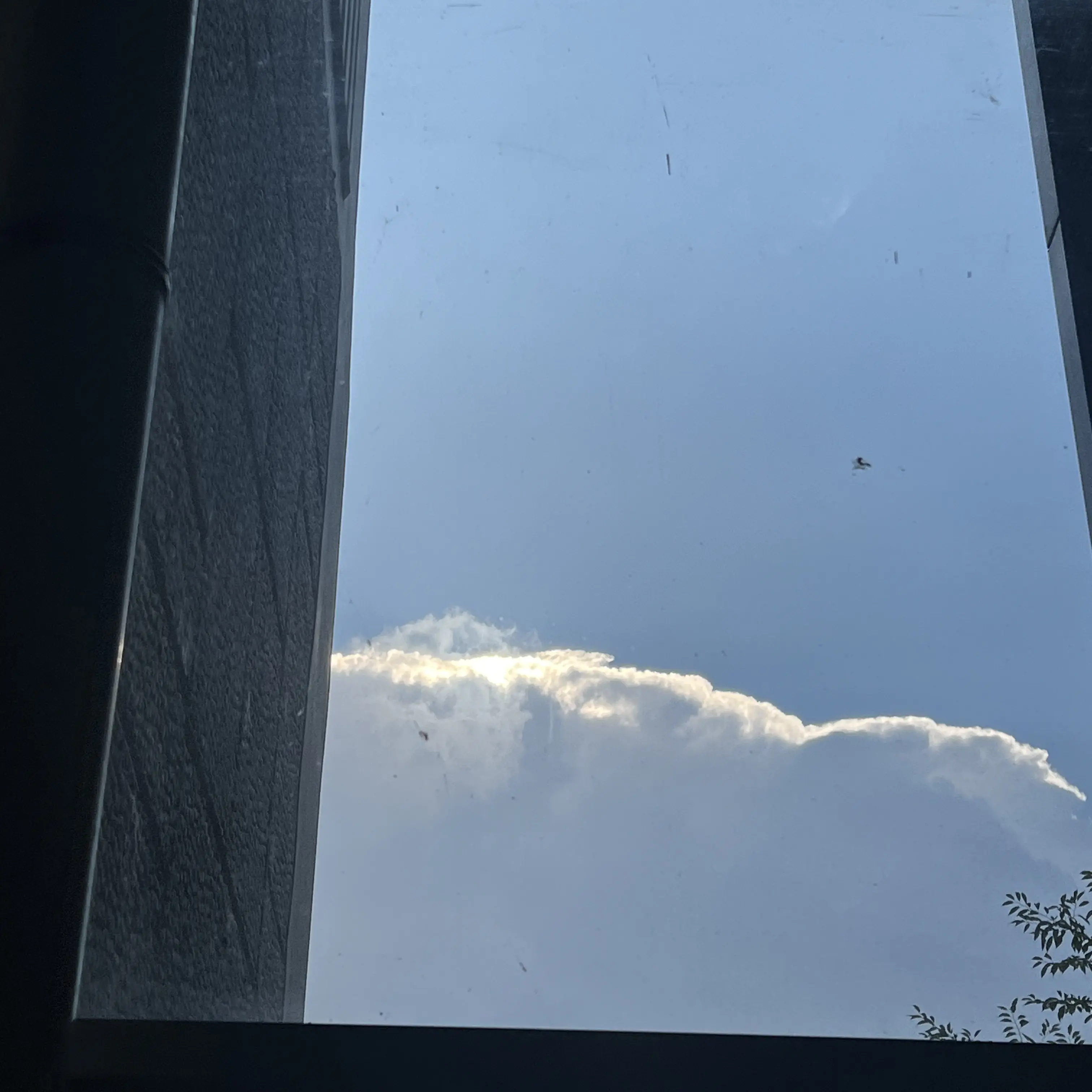 UNl.T_0911의 싸이코드조직