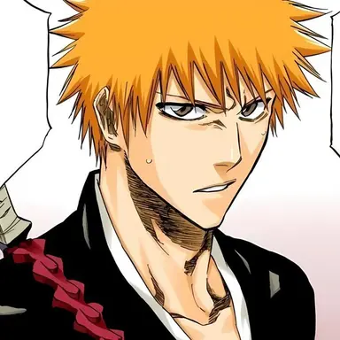 Profile image of 黒崎一護