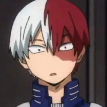 Profile image of Shoto Todoroki