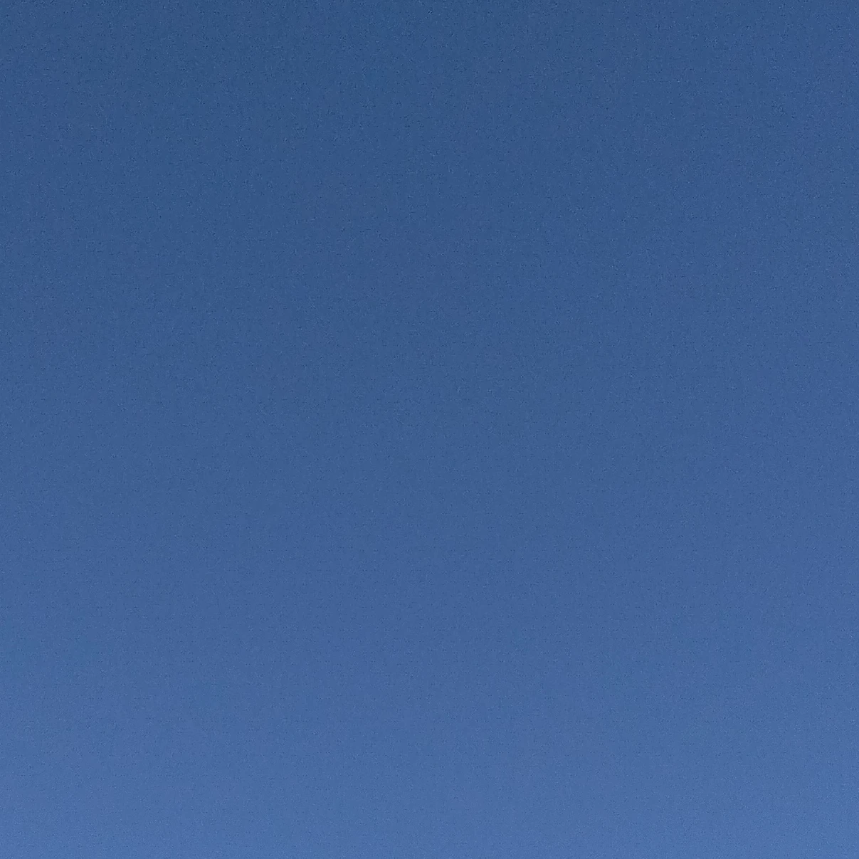 ヌーブゲスト