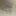 다크쪼코맛 쿠키