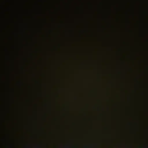 _SVT의 젅웑우