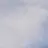 뜨리 조직