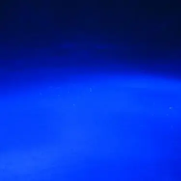 Profile image of 鬱