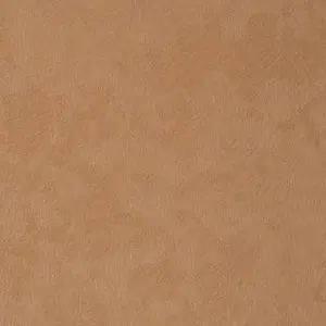 Profile image of エーミール