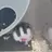 평학 여우