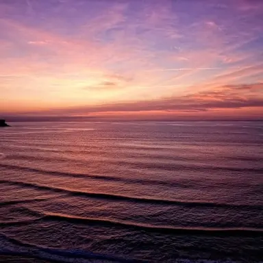 Profile image of 노을