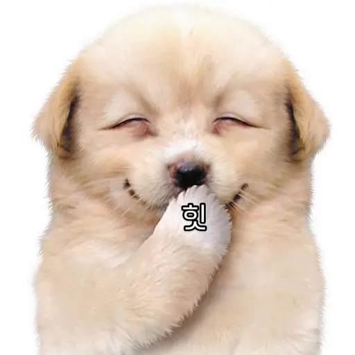 28.pgy의 이원