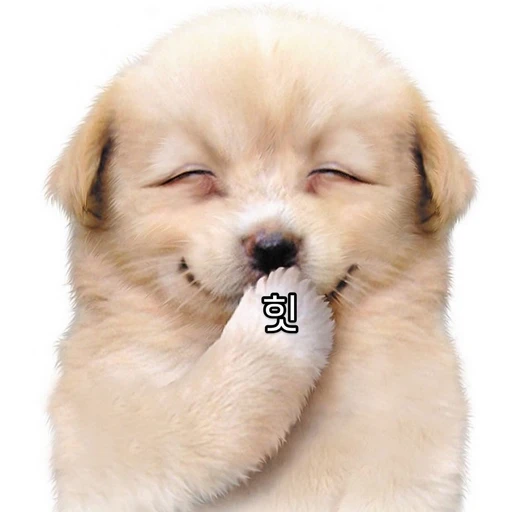 이원