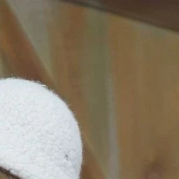 이지훈