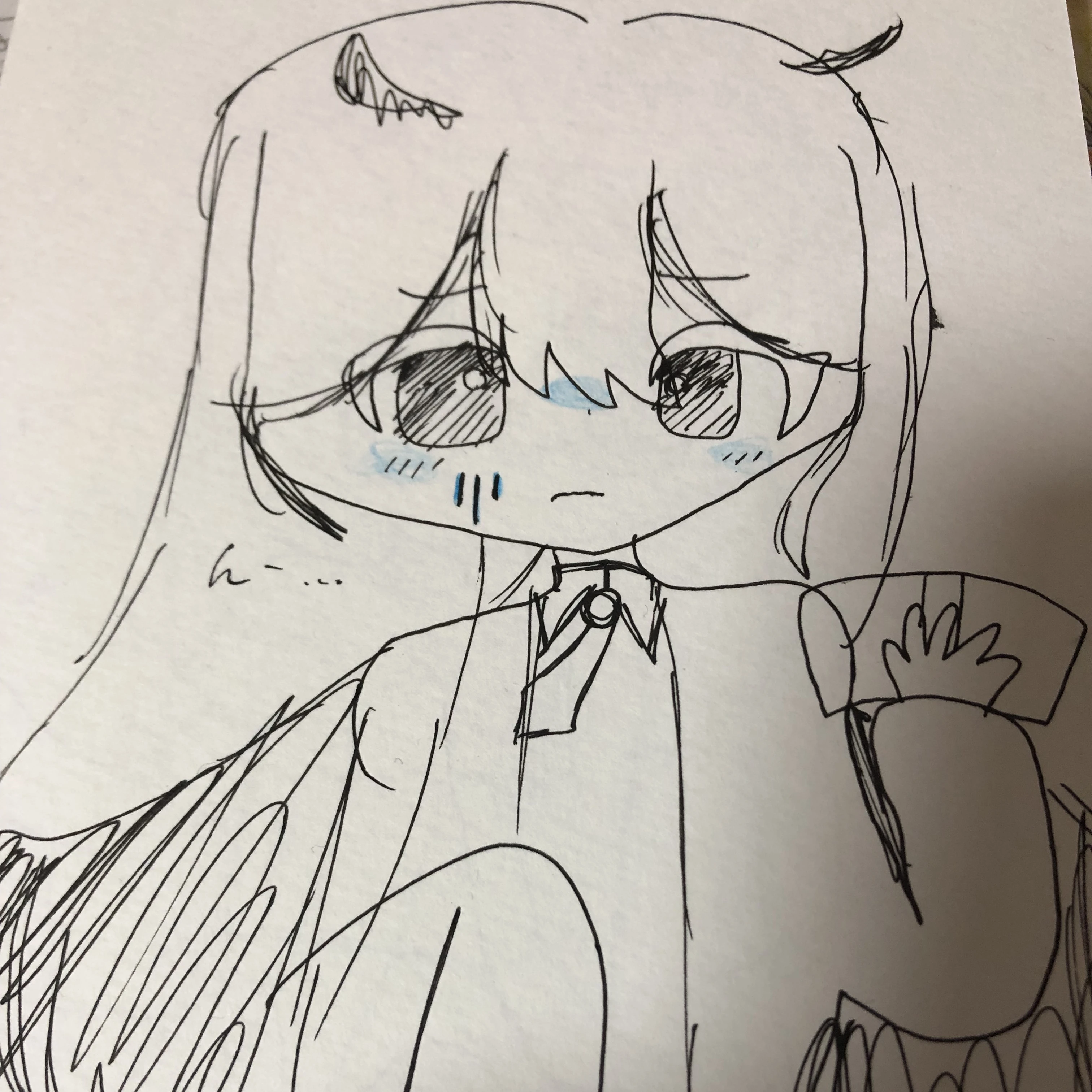 こあ