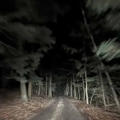 Profile image of Boy best friends