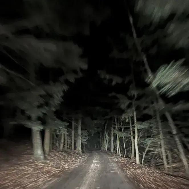 LovelyTrout2602의 Boy best friends