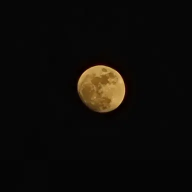Profile image of 페이드