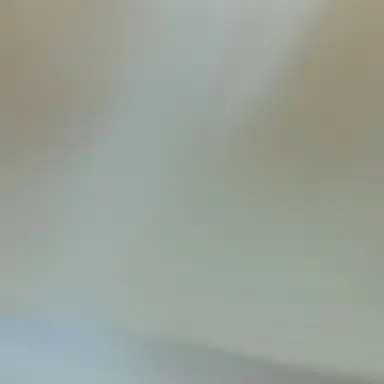 Profile image of 스프런키 친구들